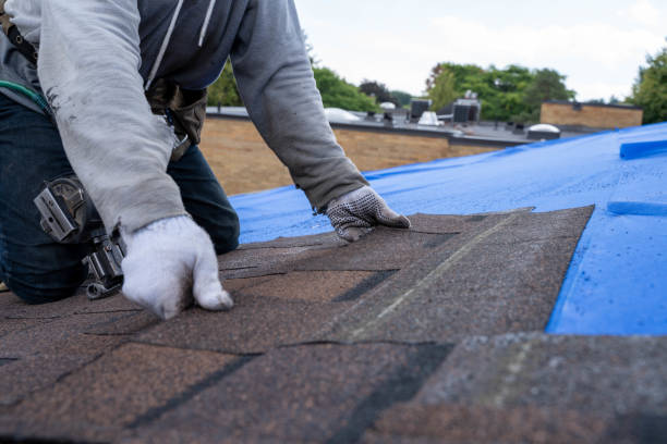 Roof Gutter Cleaning in Sumner, WA